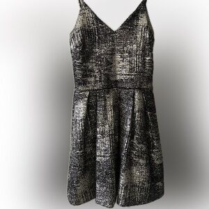 Shimmering Silver Dress